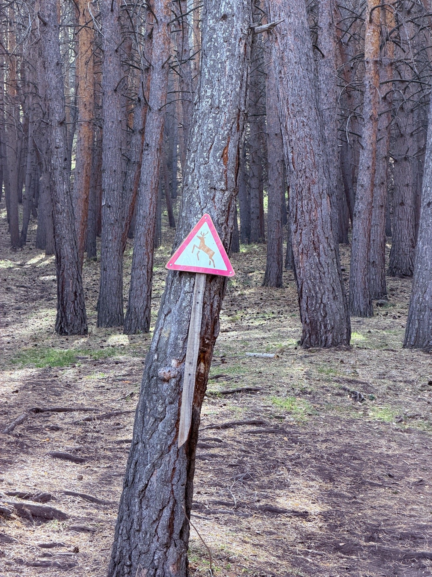 Photo 4 from Ride #566